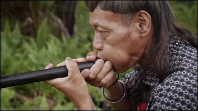 "Sarbacane" de Francis Cabrel : Est-ce une chanson des ann&eacute;es 80 ?