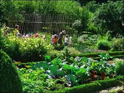 Les potagers et vergers conservatoires du muse permettent de contempler quelques 650 varits et espces, mais o suis-je ?