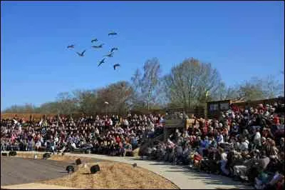 Le 'Parc des Oiseaux' est l'un des parcs les plus riches d'Europe avec plus de 2000 oiseaux appartenant  prs de 400 espces du monde. O suis-je ?