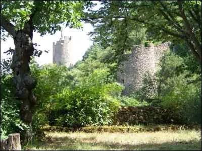 Ce jardin est nomm l'Eden. D'ici, on peut contempler la ville dans laquelle je suis :