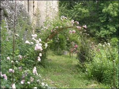 Les jardins du Chteau du Pin est un lieu de quelque 1 hectare qui se situe  :