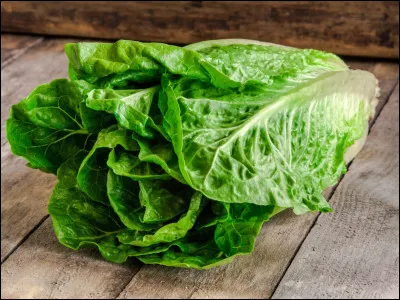 En 1954, qui est belle pour Luigi Zampa ?