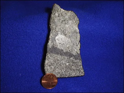 Quel est le numéro du Casanova de Mario Moncelli, dans son film de 1965 ?