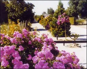 Cet arboretum est amnag sur une ancienne voie ferre. Il est compos de plus de 400 espces. O est situ ce trsors ?
