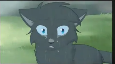 Qui est la compagne de Cur de Nacre ?