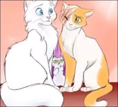 Qui est le compagnon de Tempête de Sable ?