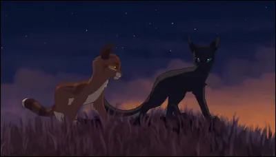 Qui aime Étoile de Jais ?