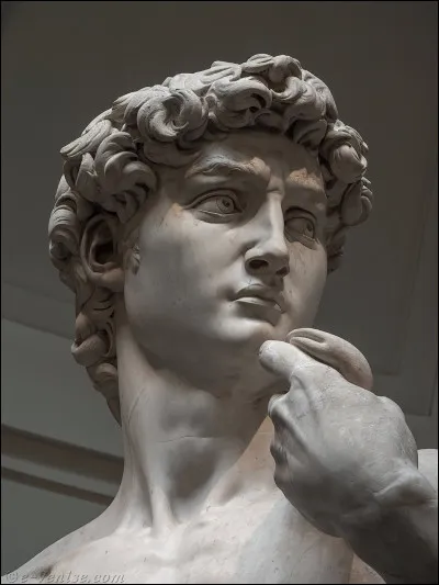 Quelle célèbre sculpture nue a été réalisée par Michel-Ange ?