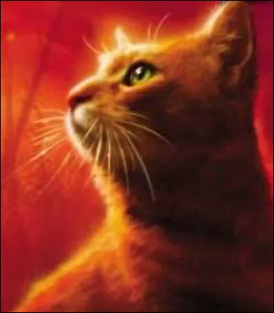 Quel est le nom de chat domestique dÉtoile de Feu ?