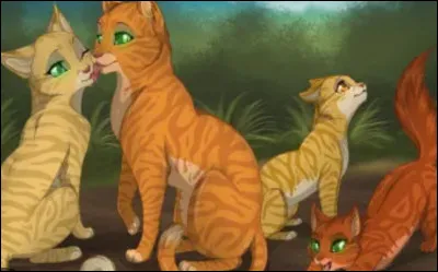 Combien ont-ils eu de chatons ?