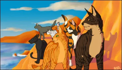 Combien sont-ils à partir pour rencontrer Minuit ?