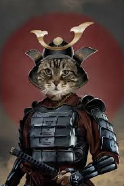 Quel est le nom de guerrier de Nuage Taquin ?