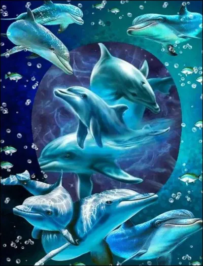 Quel animal est représenté ?