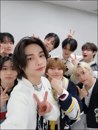 Quel membre est gaucher dans Stray Kids ?