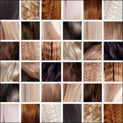 Ton personnage a les cheveux de quelle couleur ?
