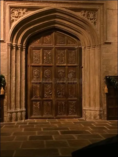 La nuit est tombée quand tu aperçois enfin le château. Les grandes portes souvrent. Le hall dentrée est immense, avec ses plafonds enchantés et ses chandelles flottantes. Le professeur McGonagall vous guide jusquà la pièce où les premières années attendent la Cérémonie de Répartition. Tu remarques que les autres parlent déjà des maisons : certains rêvent déjà d'une maison. Et toi que veux-tu ?