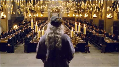 La nuit est tomb&eacute;e quand tu aper&ccedil;ois enfin le ch&acirc;teau. Les grandes portes s’ouvrent. Le hall d’entr&eacute;e est immense, avec ses plafonds enchant&eacute;s et ses chandelles flottantes. Le professeur McGonagall vous guide jusqu’&agrave; la pi&egrave;ce o&ugrave; les premi&egrave;res ann&eacute;es attendent la C&eacute;r&eacute;monie de R&eacute;partition. Tu remarques que les autres parlent d&eacute;j&agrave; des maisons : certains r&ecirc;vent d&eacute;j&agrave; d'une maison. Et toi que veux-tu ?