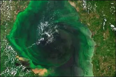 Comment s'appelle ce lac de 13 210 km2, le plus grand d'Amérique du sud et situé au Vénézuela ?