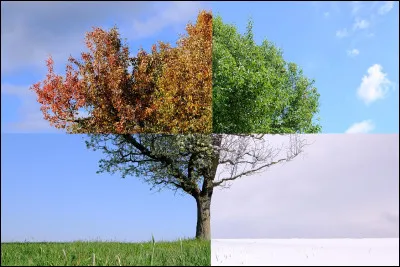 En quelle saison sommes-nous lors des naissances des personnes nées sous le signe du Lion ?