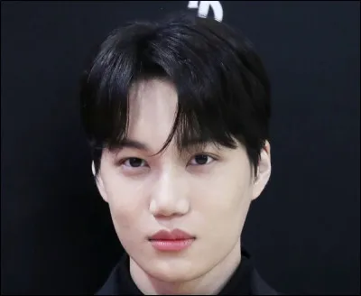 Il a composé des titres tels que "Rover" ou bien "Adult Swim". Qui est cet idol ?