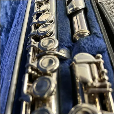 Quel est cet instrument ?
