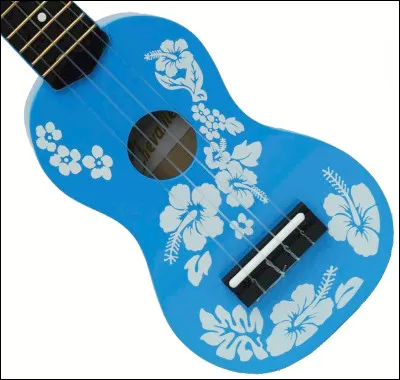 Quel est cet instrument ?