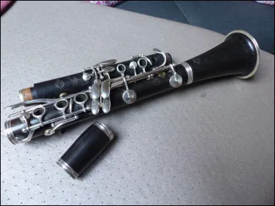 Quel est cet instrument ?