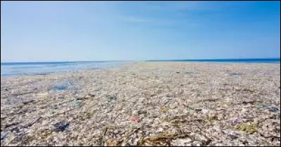 Sur quel océan flotte le "continent de plastique" ?