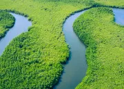 Quiz Voyage sur l'Amazone