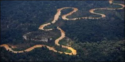 De ma source à mon embouche, j'aurais parcouru trois pays et la grande forêt amazonienne, faisant de moi le plus long fleuve de la planète, avec :