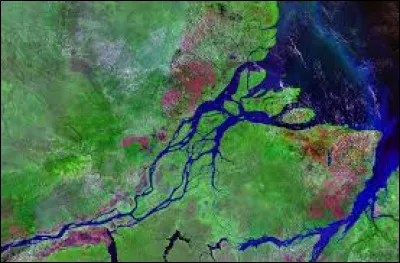 Une grande île (40 100 km2), l'une des plus grandes îles fluviales de la planète est témoin de mon entrée dans l'Atlantique par une embouchure démesurée : quelle est cette île ?