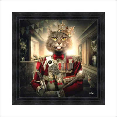 Quel grade préfères-tu ?