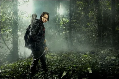 Que fait le brouillard dans la forêt ? (L'Embrasement )