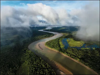 Dans quel océan se déverse l'Amazone ?