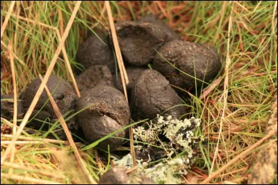 Sort de l'usine, c'est la...