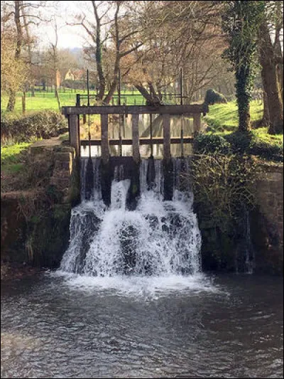 Quelle est la longueur de la rivière Lawe, qui est un affluent de la Lys ?