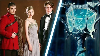 Qui ne survivra pas au Tournoi des Trois Sorciers ?