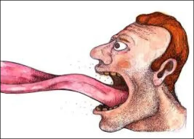 Pas de solution trouvée, alors, "on donne sa langue au...