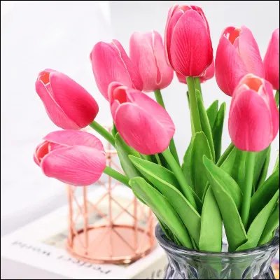 À quelle saison les tulipes fleurissent-elles ?