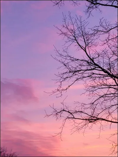 Quelle phrase te ressemble le plus ?