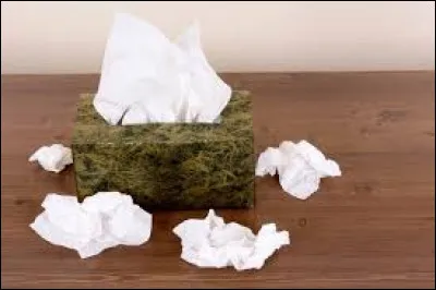 J'ai un rhume, donne-moi un kleenex !