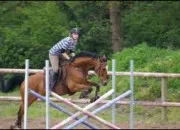 Quiz Thorie Galop 5