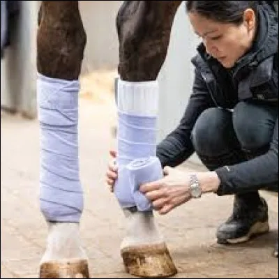 À quoi servent les bandes de repos ?