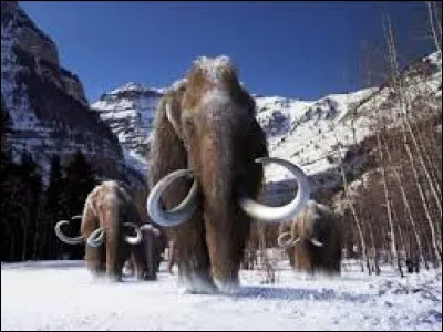 Depuis combien de temps le mammouth laineux a-t-il disparu ?