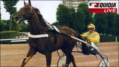 Ourasi a-t-il remporté le Grand Prix d'Amérique à plusieurs reprises ? Si c'est le cas, combien de fois cela s'est-il produit ?