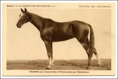 Quel est le nombre de victoires d'Uranie au cours de sa carrière ?