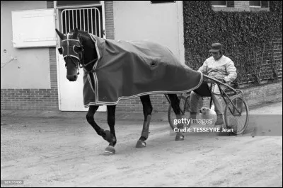 C'est l'un des rares chevaux dans l'histoire à avoir gagné, la même année, le Prix d'Amérique, le Grand Prix de France et le Grand Prix de Paris. Quel est son nom ?