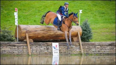 Quel est l'âge de Triton Fontaine, le cheval de Karim Laghouag, lors des Jeux olympiques de Paris en 2024, où il a obtenu une médaille d'argent par équipe ainsi qu'une médaille de bronze ?