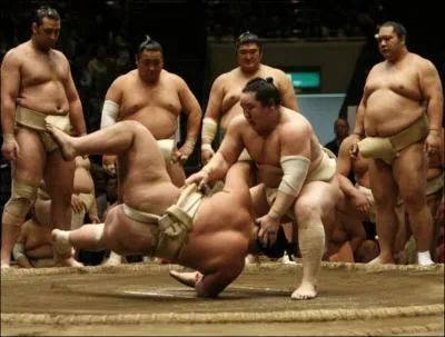 Qu'est la 'mawashi' pour les combattants de sumo ?