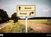 Test Es-tu normal ou bizarre ?